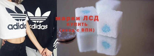 гашик Горняк