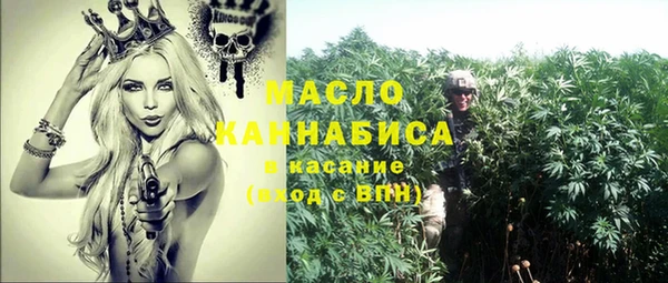 гашик Горняк
