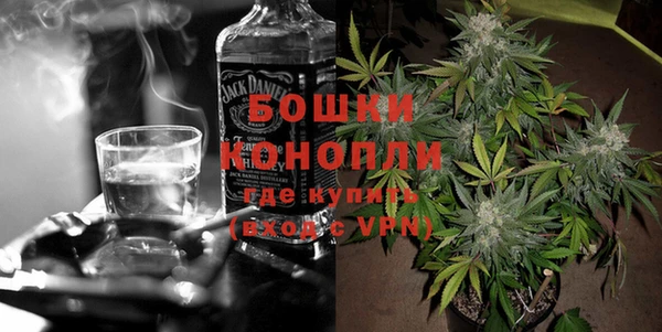 гашик Горняк