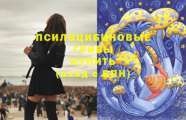 кокаин Горнозаводск
