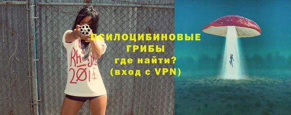 гашик Горняк